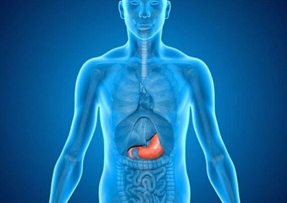 Stomach ulcer as a cause of back pain under the left shoulder blade.