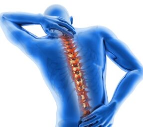 Elements of the spine.